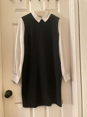 Karl Lagerfeld Black Dress with White Collar and Sleeves